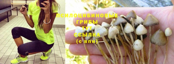 кристаллы Абаза