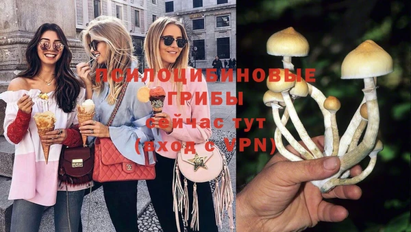 амф Абдулино
