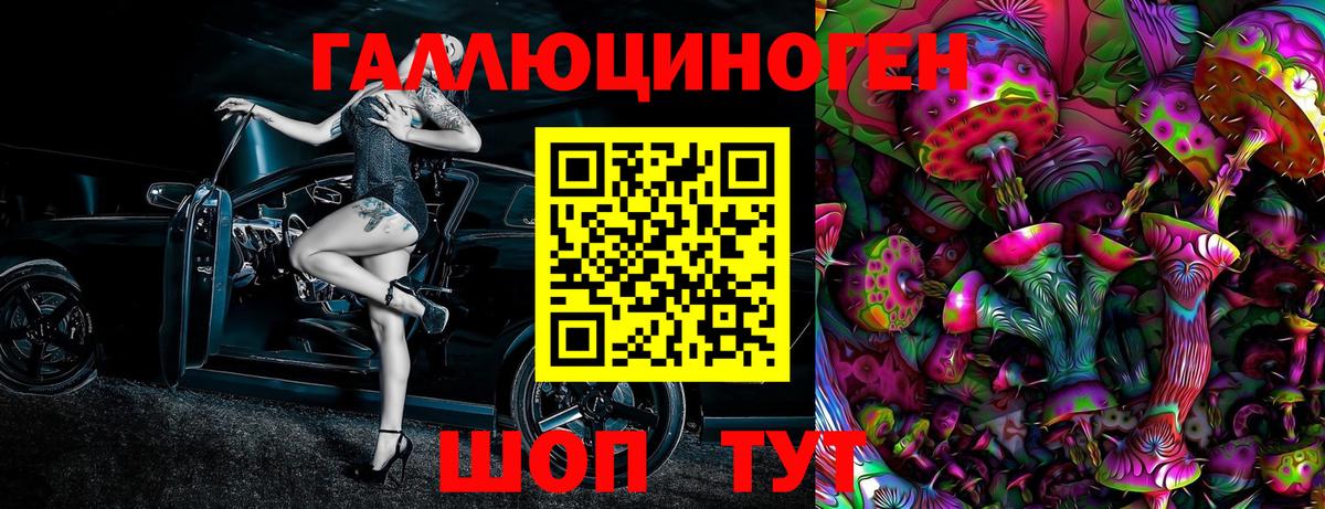 Галлюциногенные грибы Psilocybine cubensis Аксай