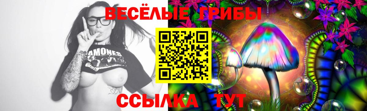 Аксай  Галлюциногенные грибы MAGIC MUSHROOMS  Вход с VPN 